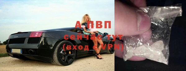 дживик Верхний Тагил